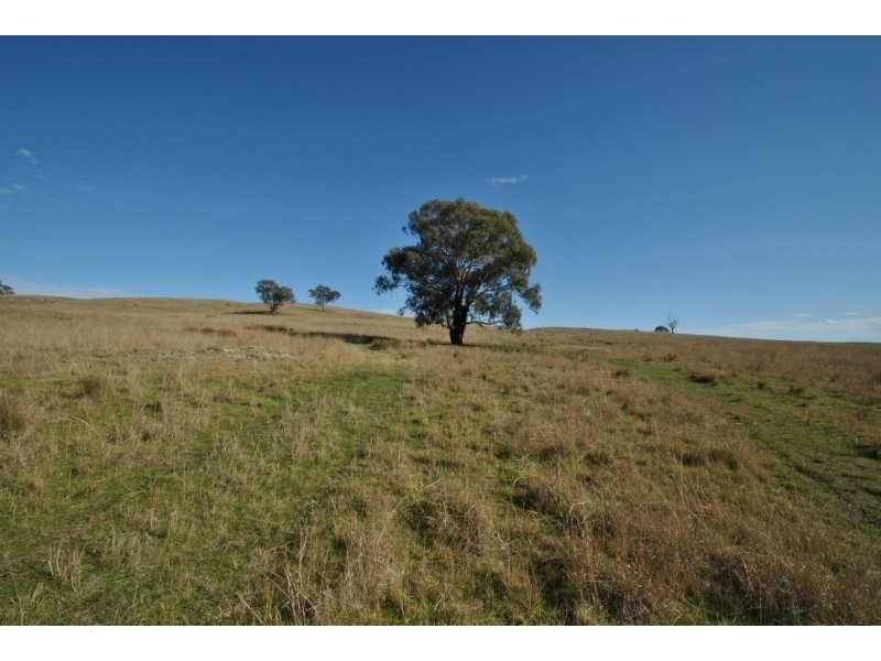 200 Quirks Loop, Stuart Town NSW 2820