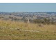 200 Quirks Loop, Stuart Town NSW 2820