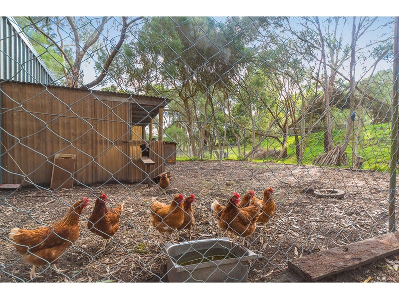 365 Baxter – Tooradin Road, Langwarrin South VIC 3911