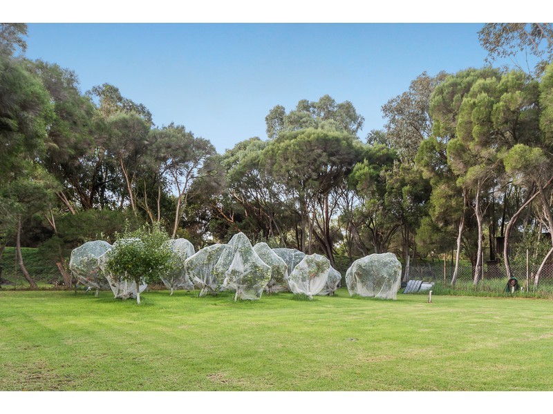 365 Baxter – Tooradin Road, Langwarrin South VIC 3911