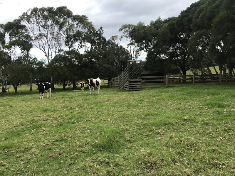 365 Baxter – Tooradin Road, Langwarrin South VIC 3911