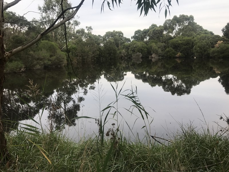 365 Baxter – Tooradin Road, Langwarrin South VIC 3911