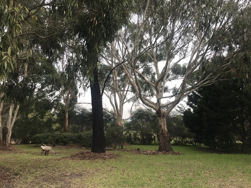 365 Baxter – Tooradin Road, Langwarrin South VIC 3911