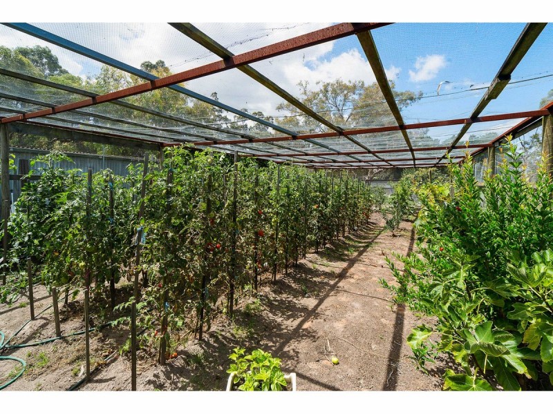 380 Warrandyte Road, Langwarrin South VIC 3911