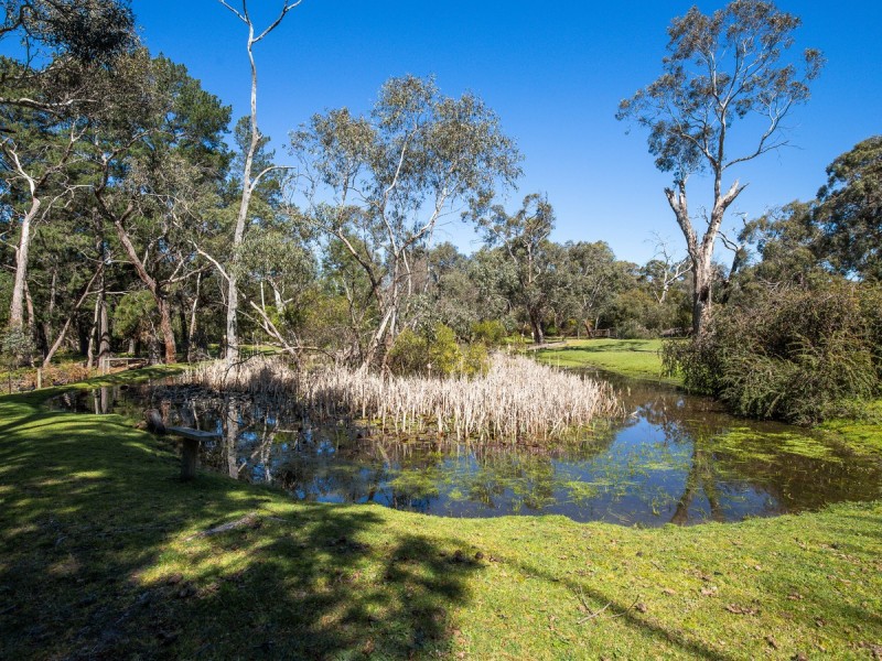 34 Valley Road, Langwarrin VIC 3910