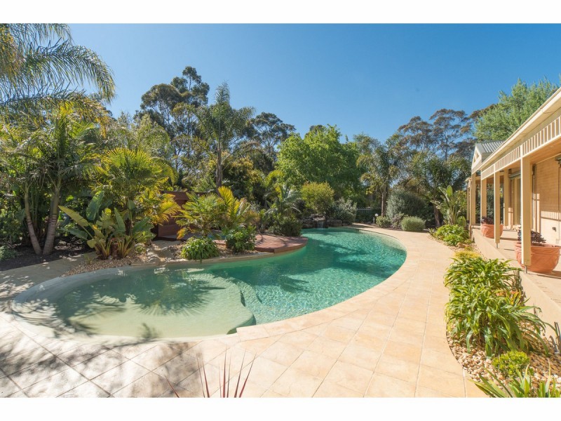 84 Barretts Road, Langwarrin South VIC 3911