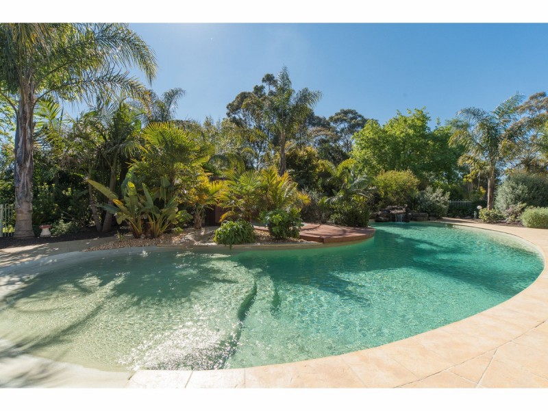 84 Barretts Road, Langwarrin South VIC 3911