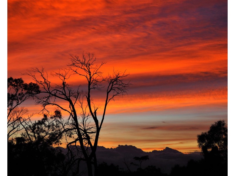 34 Monique Drive, Langwarrin VIC 3910