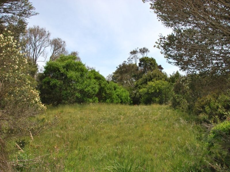 8 Roscrea Crescent, Walkerville VIC 3956