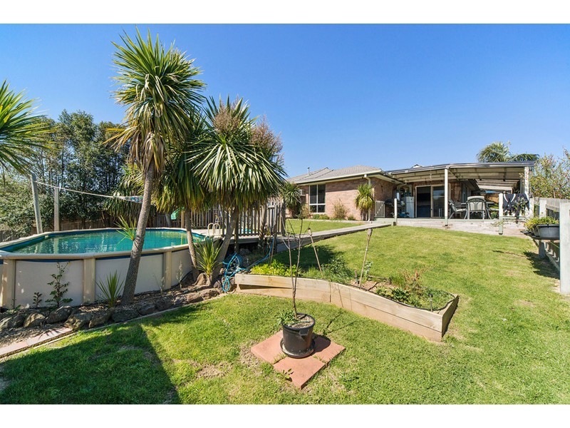15 Grasswren Close, Langwarrin VIC 3910
