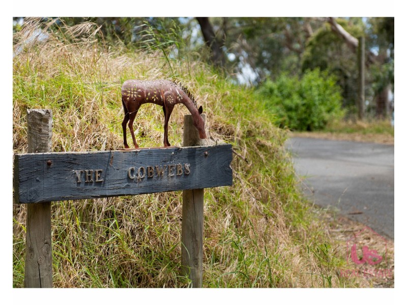 227 Pearcedale Road, Cranbourne South VIC 3977