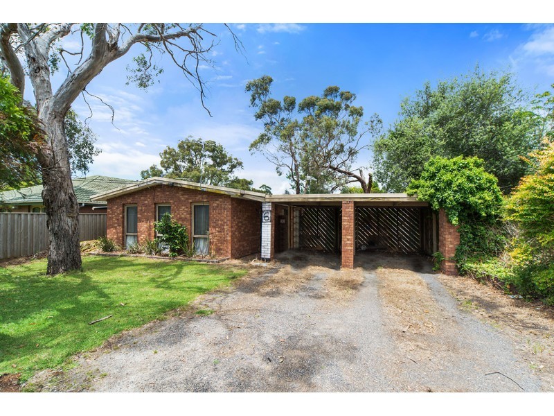 6 Beech Street, Langwarrin VIC 3910