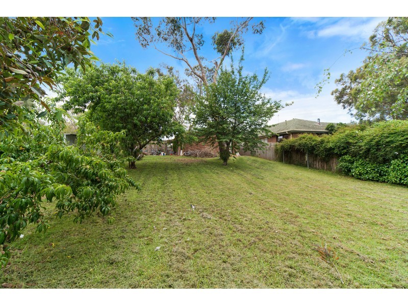 6 Beech Street, Langwarrin VIC 3910