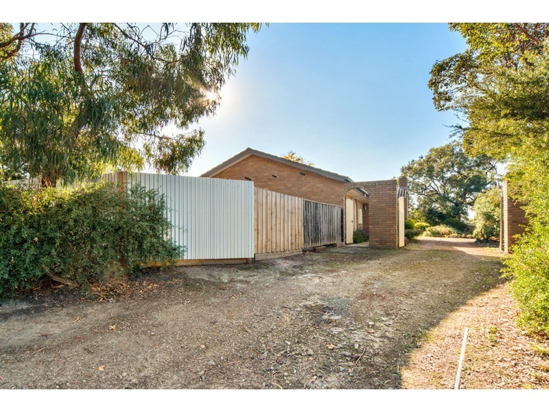 41 Beech Street, Langwarrin VIC 3910