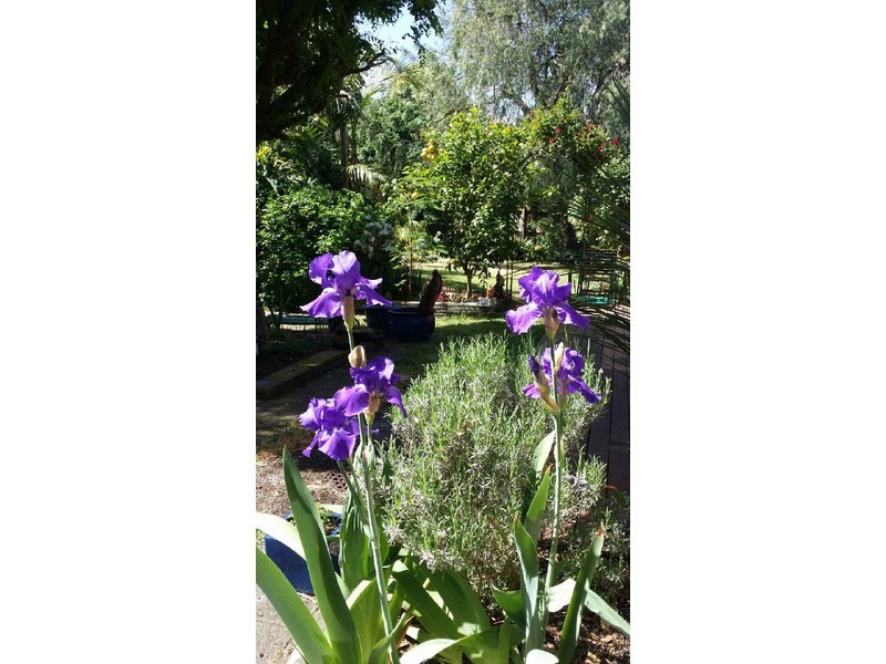 80 Lawson Avenue, Frankston South VIC 3199