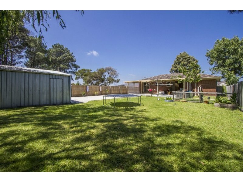 Safety Beach VIC 3936