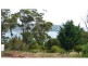 7 Aerodrome Road, Stieglitz TAS 7216