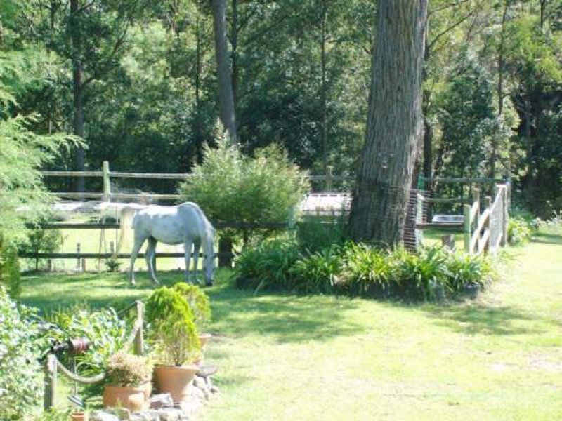 Conjola NSW 2539