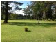 Oakdale NSW 2570