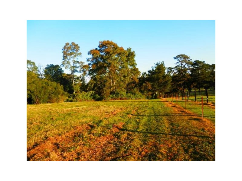 Orangeville NSW 2570