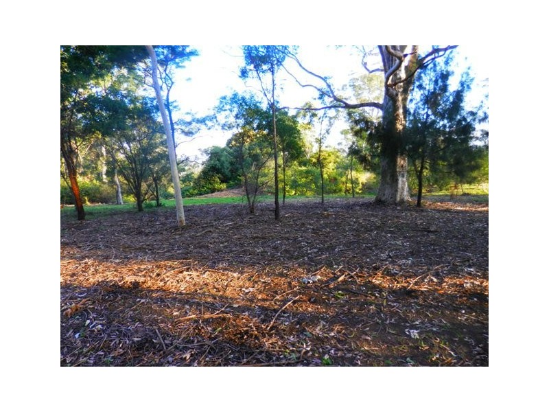 Orangeville NSW 2570