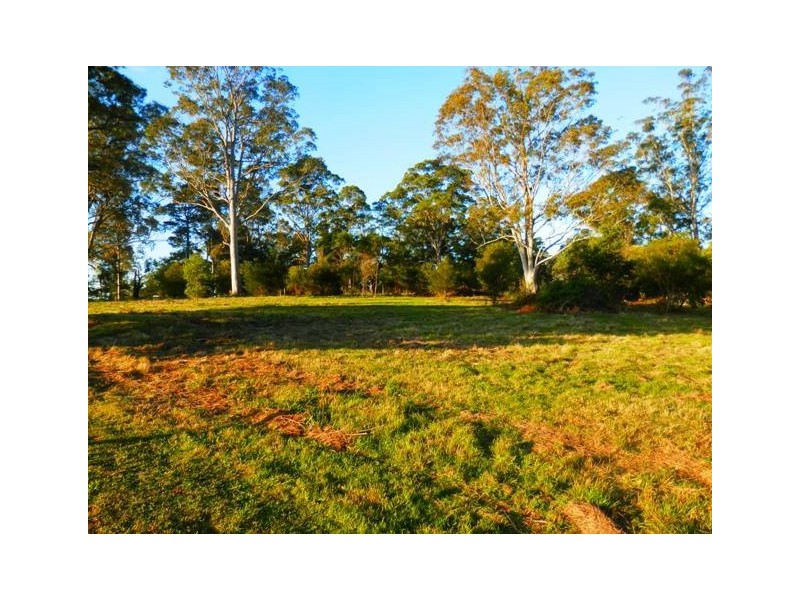 Orangeville NSW 2570