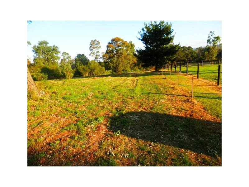 Orangeville NSW 2570