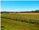 Theresa Park NSW 2570