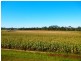 Theresa Park NSW 2570