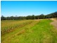 Theresa Park NSW 2570