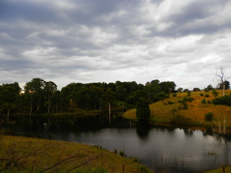 Razorback NSW 2571