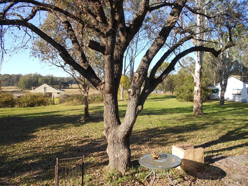 44 Chisholm Road, Catherine Field NSW 2557