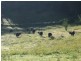 Mount Hunter NSW 2570
