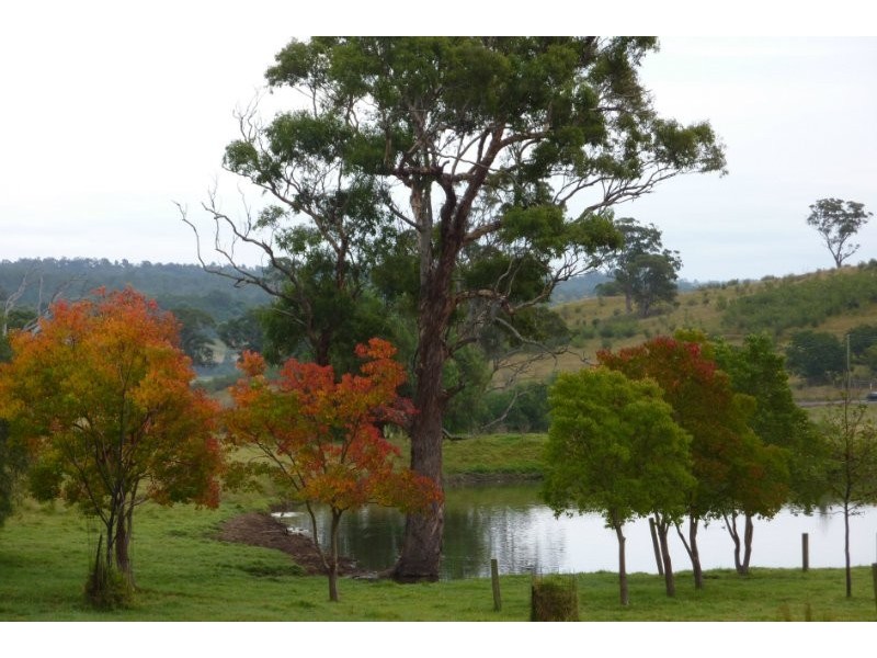 Mount Hunter NSW 2570