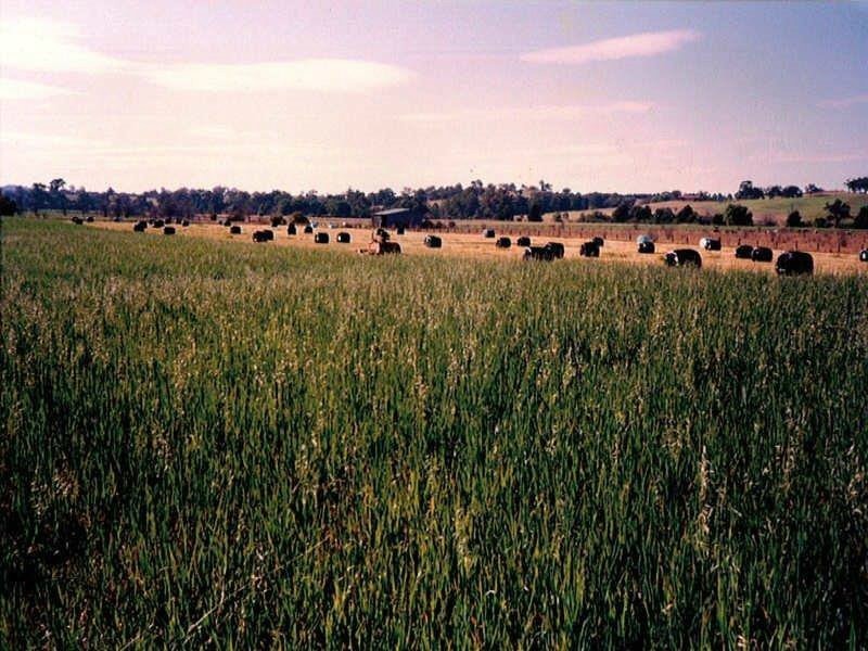 Mount Hunter NSW 2570