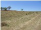 Mount Hunter NSW 2570