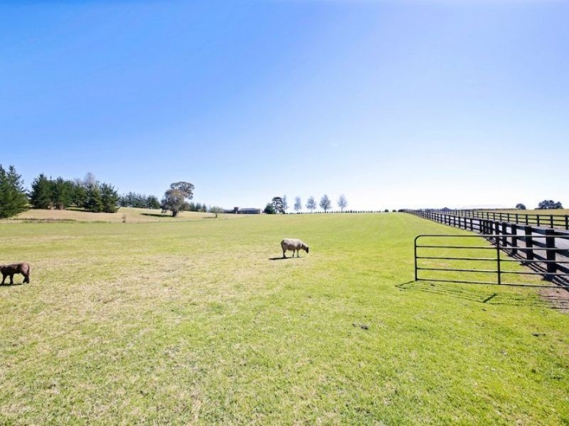 Orangeville NSW 2570