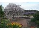 The Oaks NSW 2570