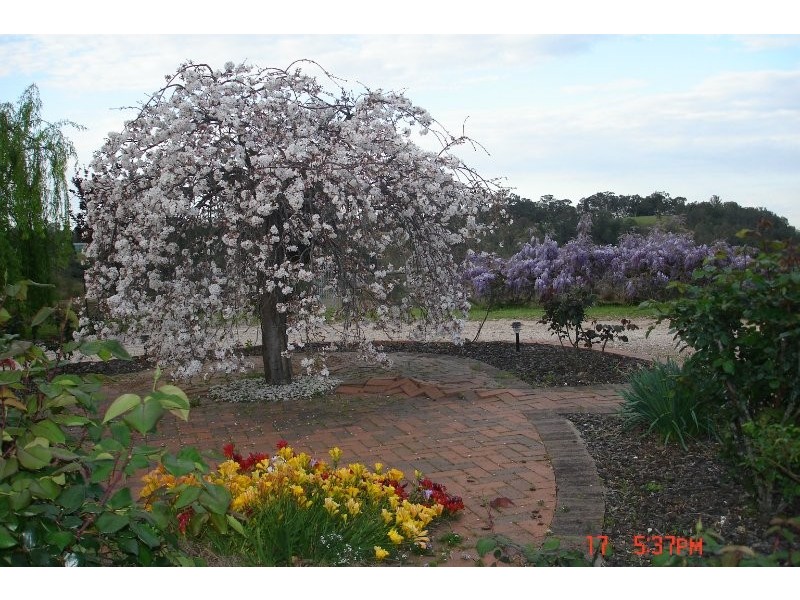 The Oaks NSW 2570