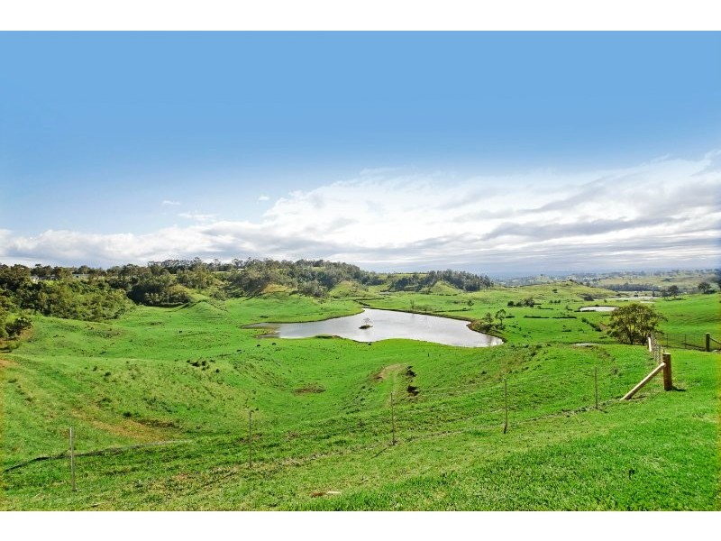 The Oaks NSW 2570