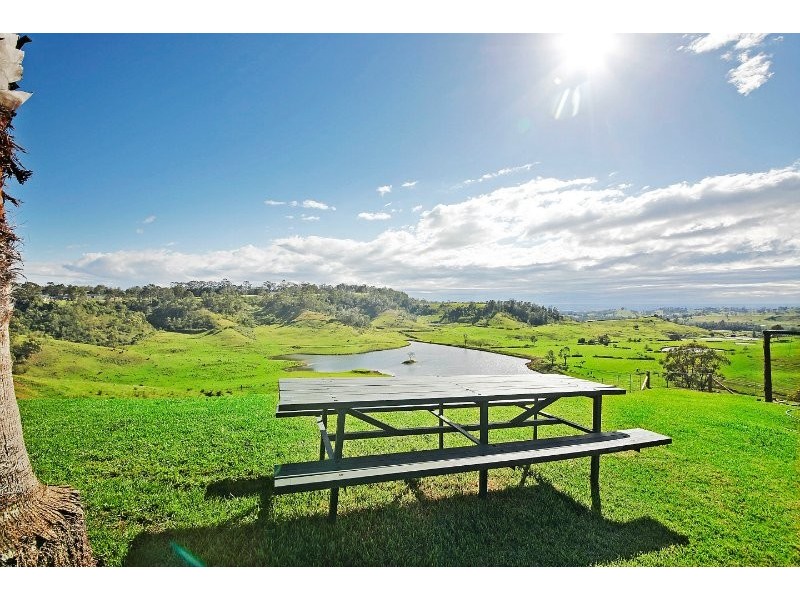 The Oaks NSW 2570