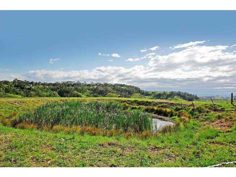 The Oaks NSW 2570