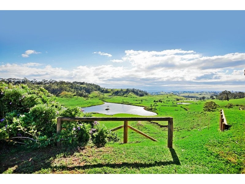 The Oaks NSW 2570