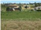 Grasmere NSW 2570