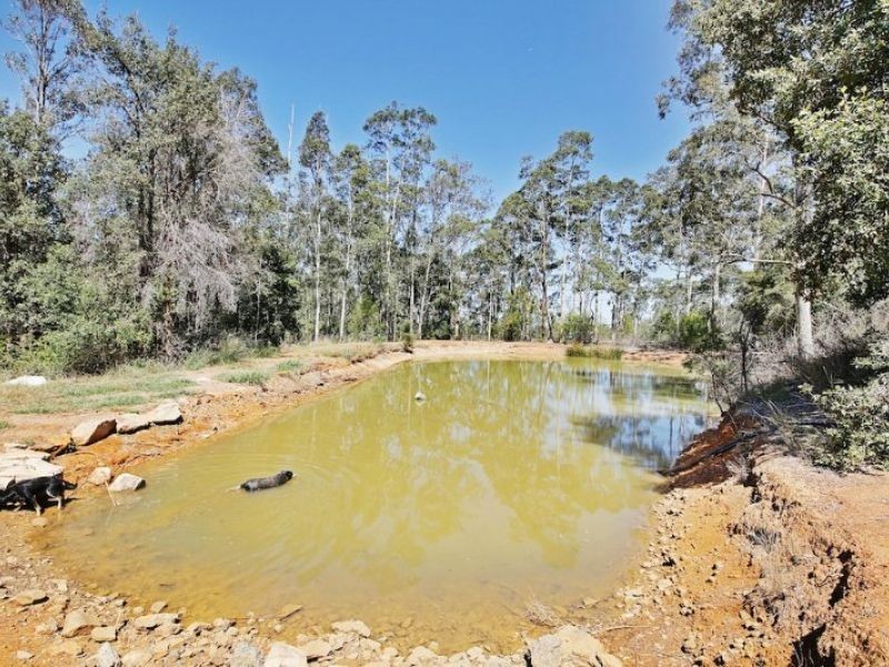 Orangeville NSW 2570