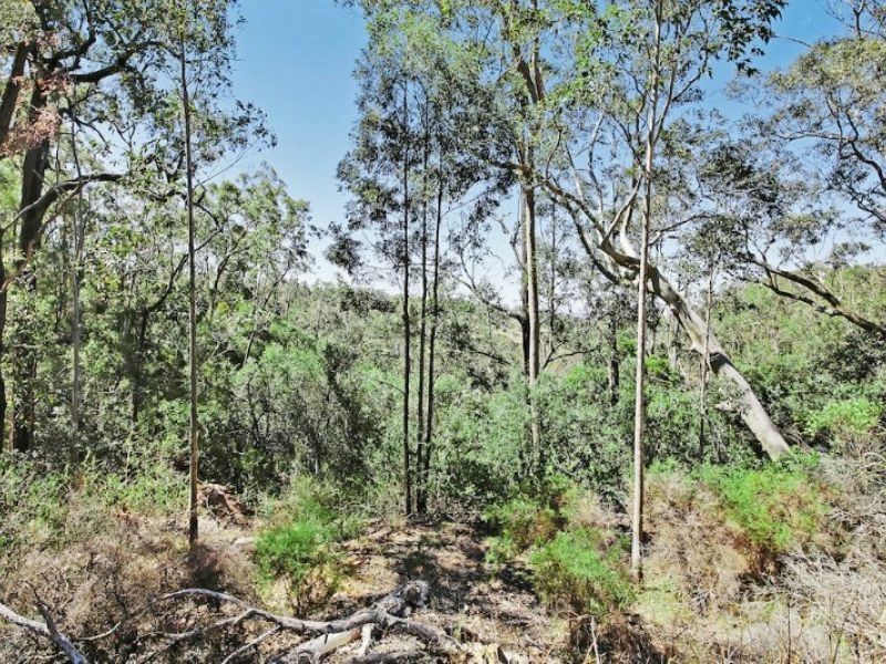 Orangeville NSW 2570