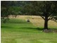 Brownlow Hill NSW 2570