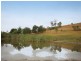 The Oaks NSW 2570