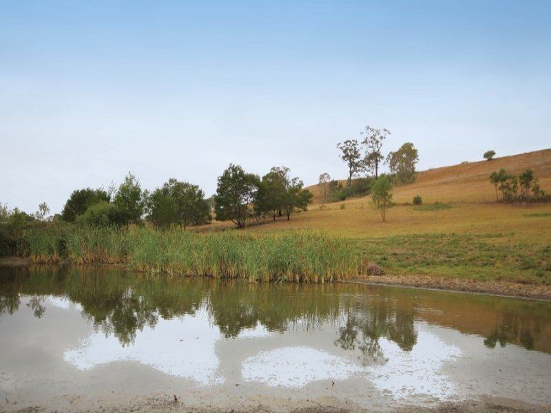 The Oaks NSW 2570