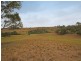 The Oaks NSW 2570